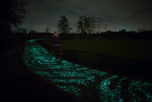 starry-night-bike-path-1.jpg
