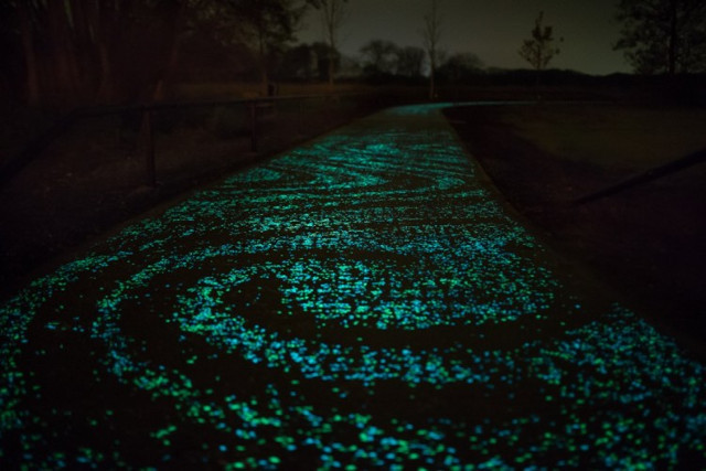 starry-night-bike-path-3.jpg