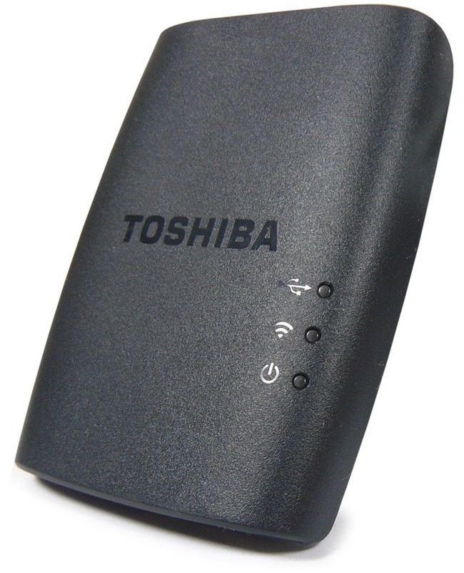 Toshi 4.jpg