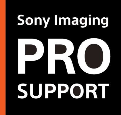 Sony_support.jpg