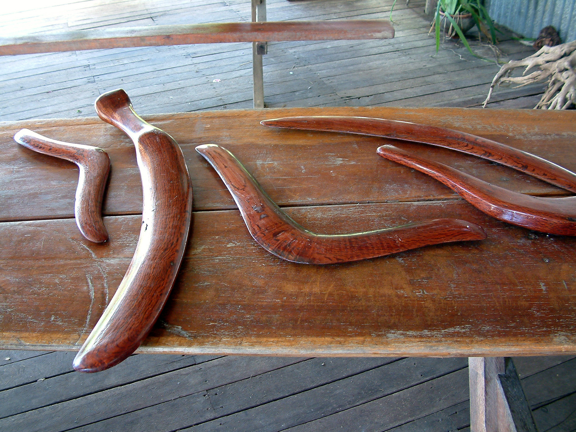 Australia_Cairns_Boomerang Australia_Cairns_Boomerang