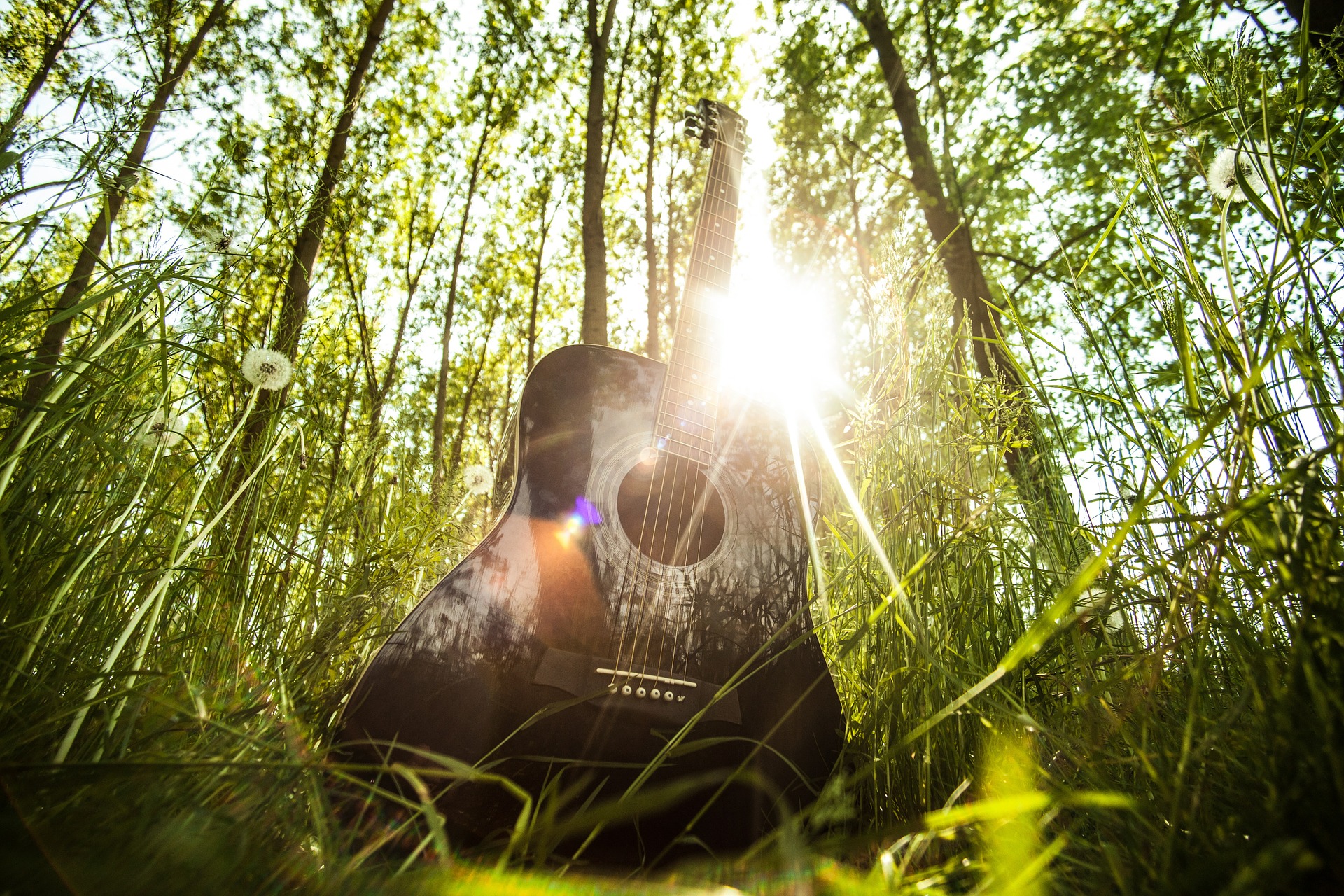 acoustic-guitar-407214_1920 acoustic-guitar-407214_1920