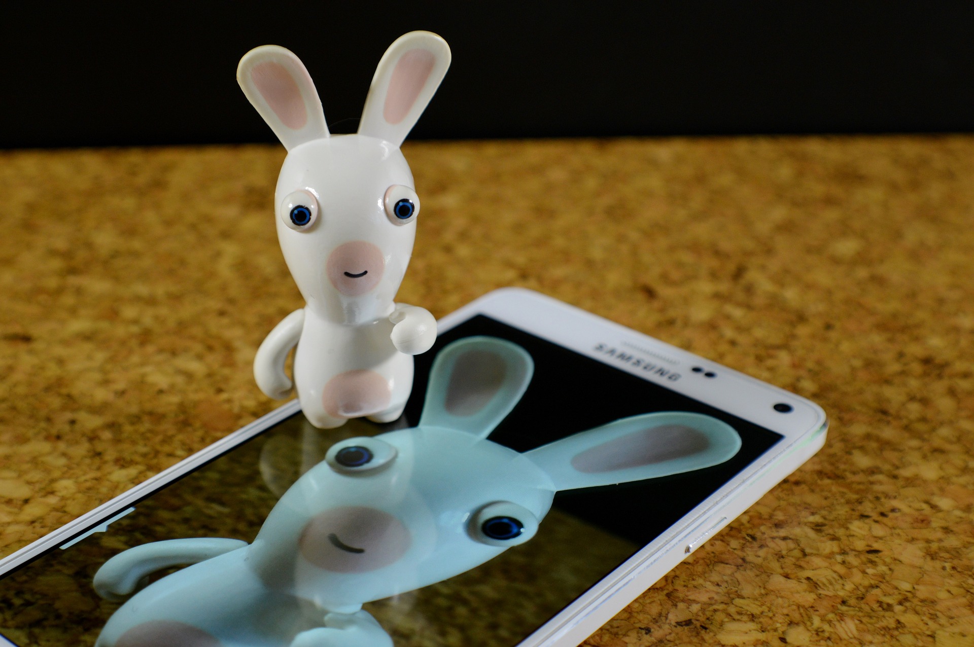hare-643373_1920 hare-643373_1920