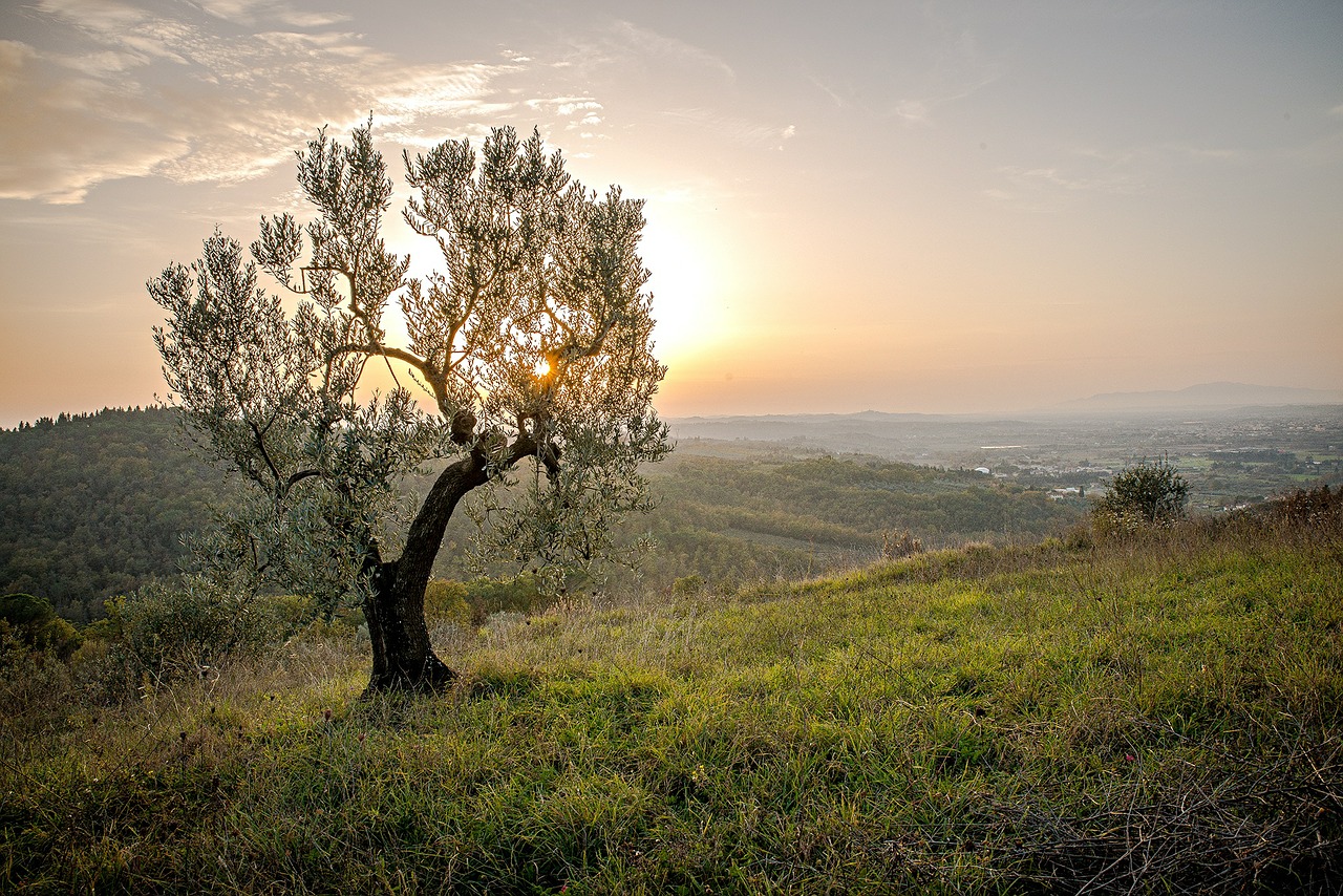 landscape-559434_1280 landscape-559434_1280
