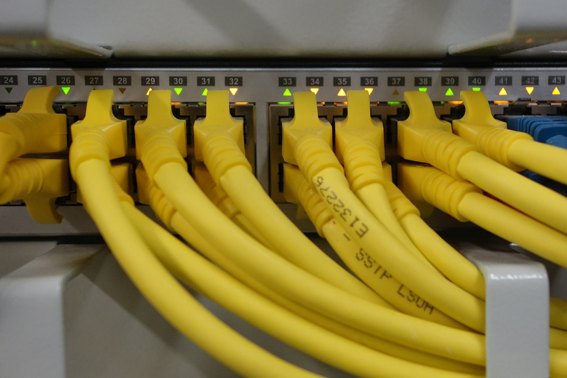 network-cables-499792_1920 network-cables-499792_1920