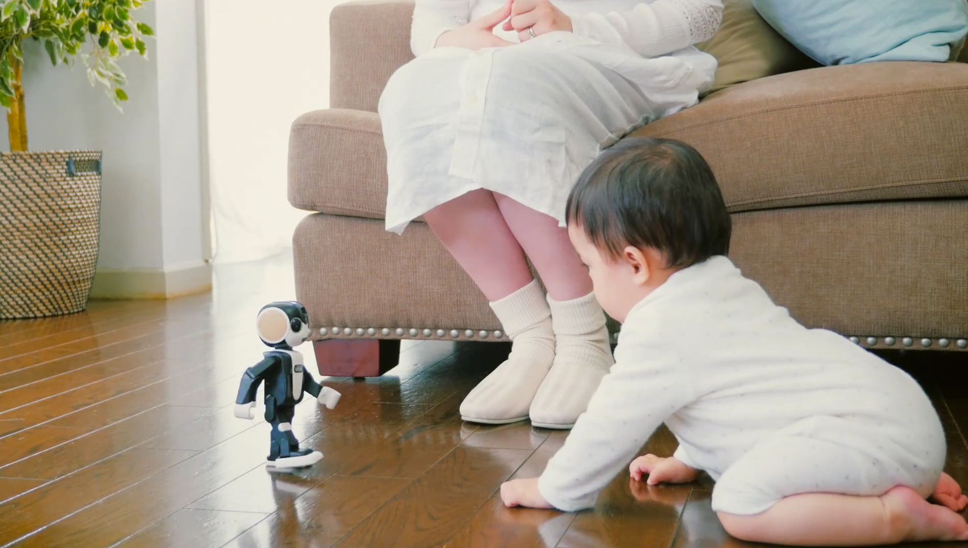 robohon bebe robohon bebe