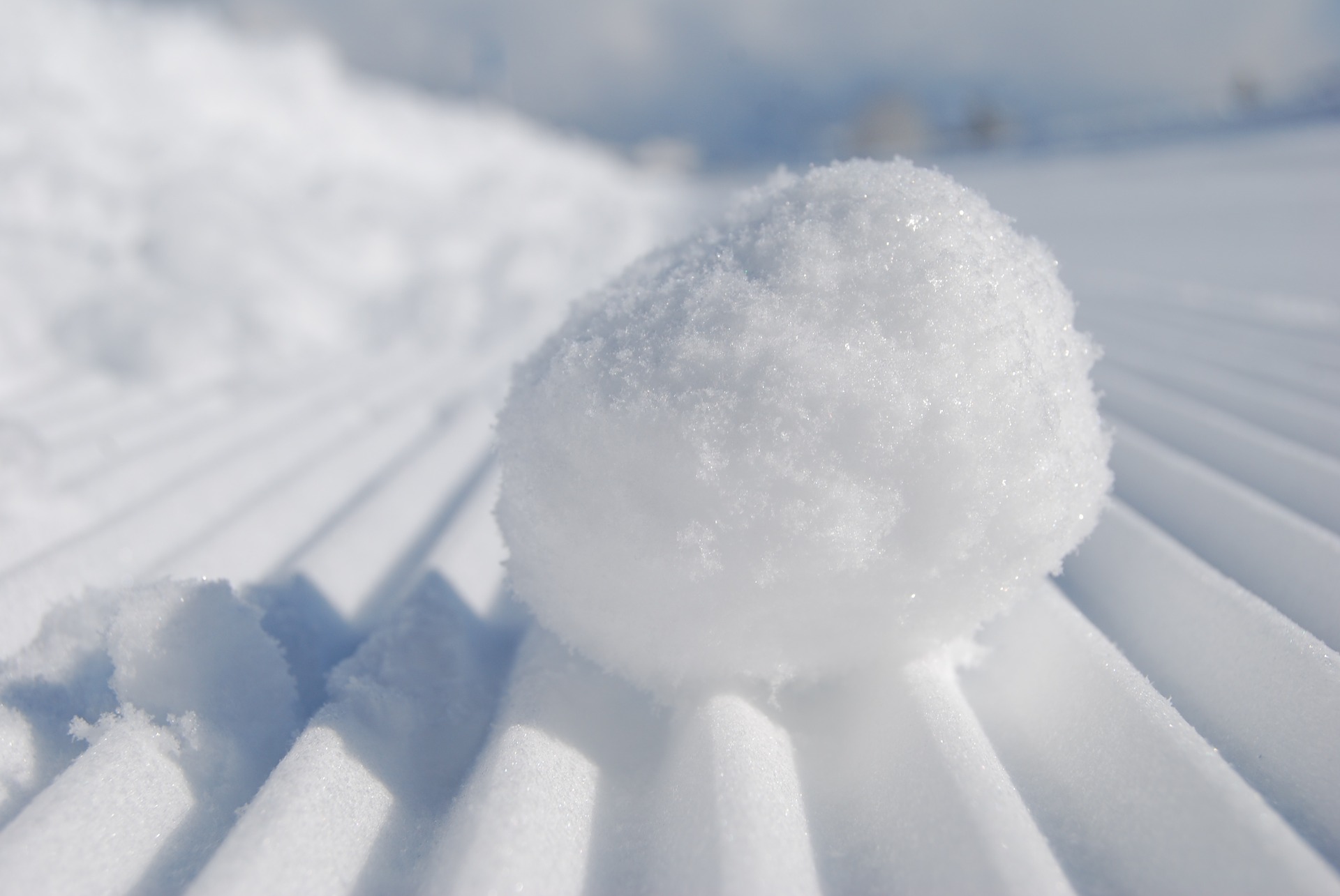 snowball-957759_1920