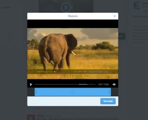 video web twitter editeur