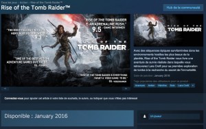 rise of tomb raider windows