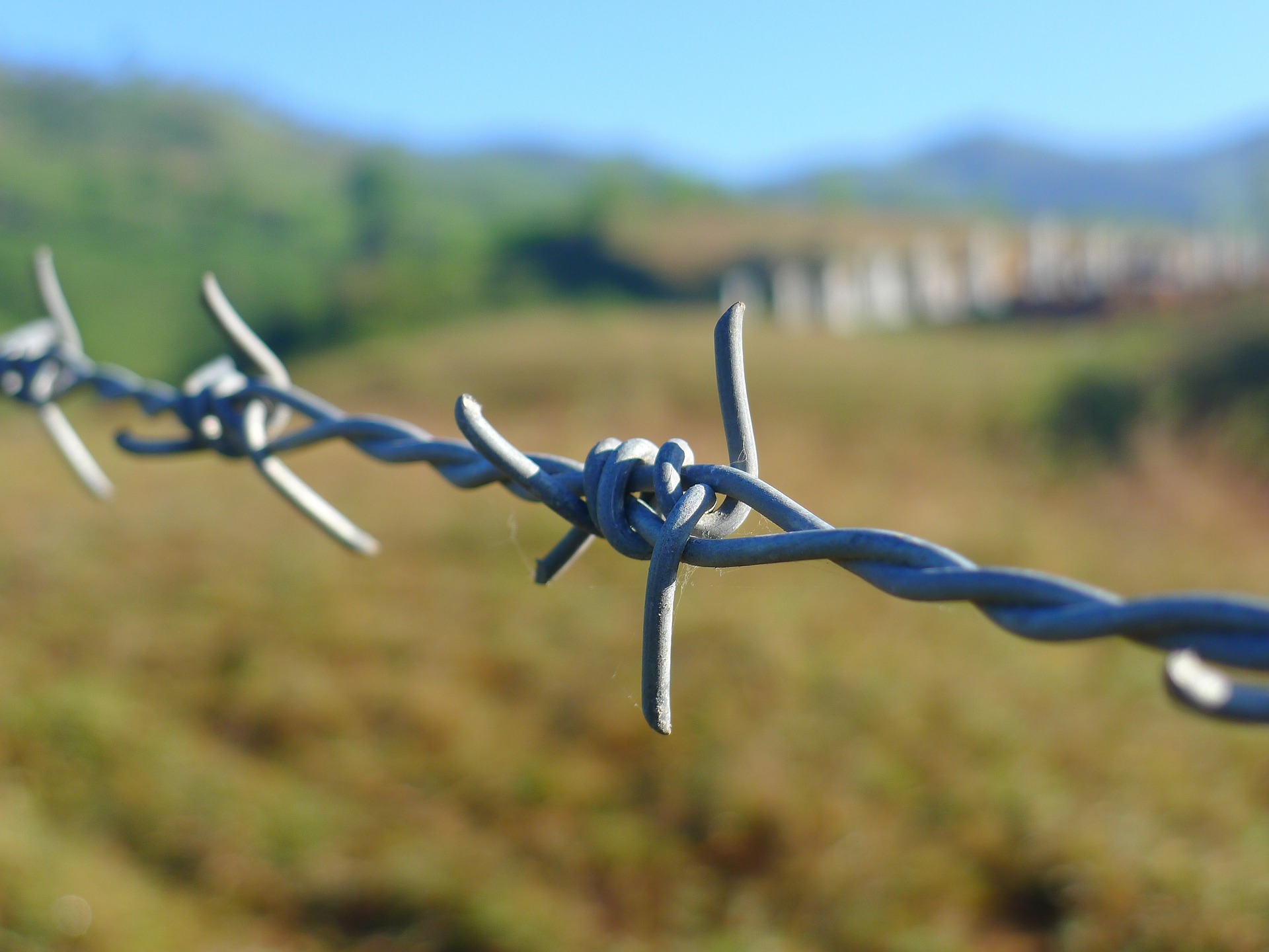 barbed-wire-114500_1920 barbed-wire-114500_1920