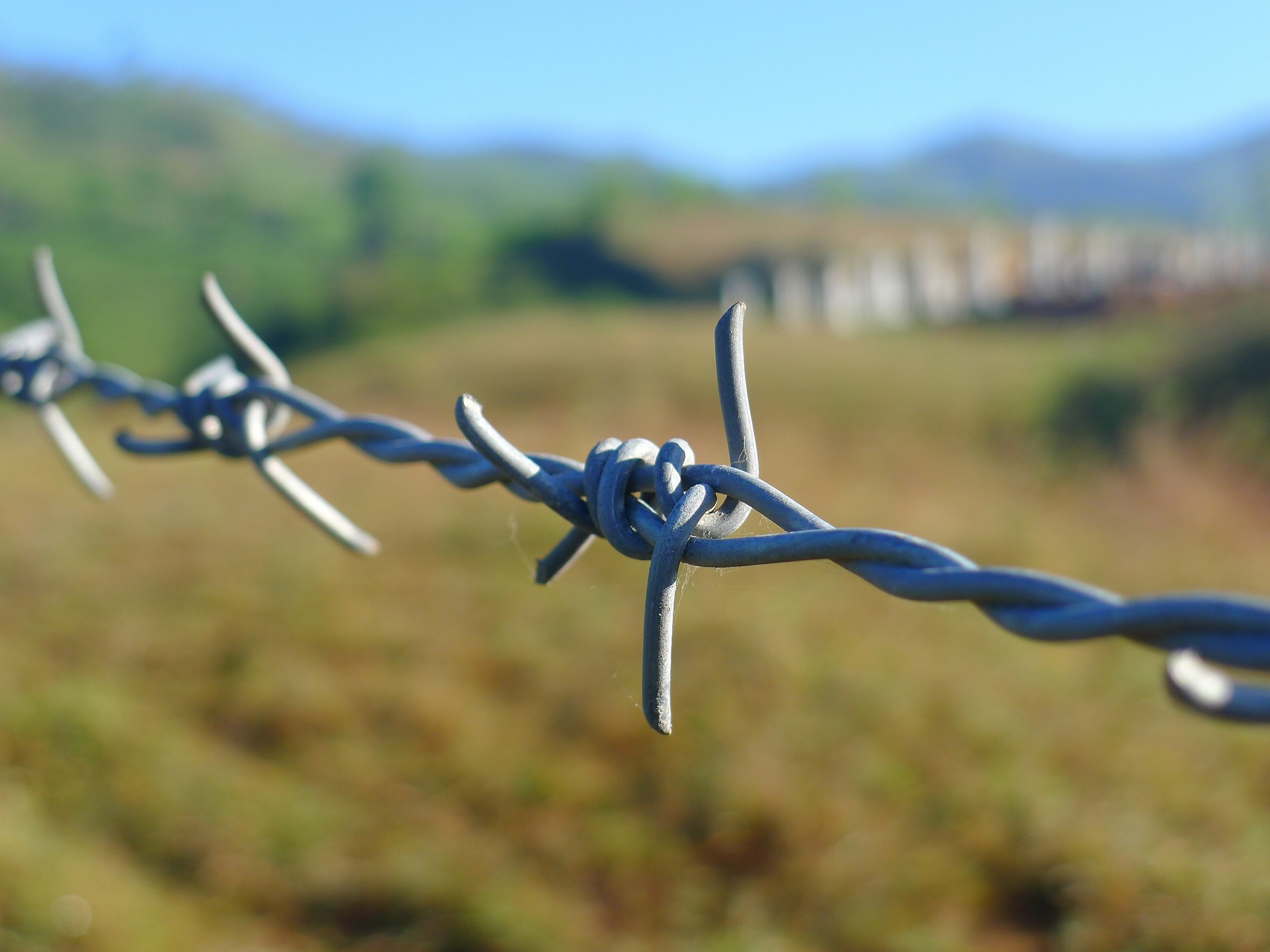 barbed-wire-114500_1920