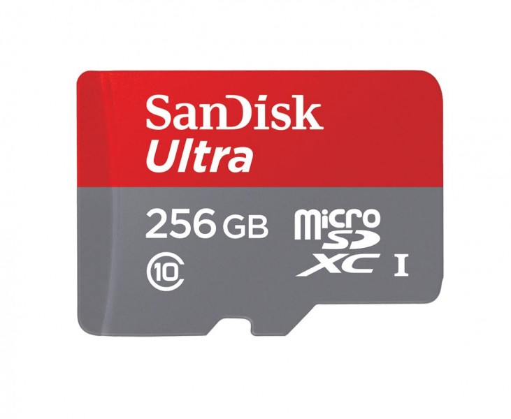 0 731x600 - SanDisk annonce deux microSDXC de 256 Go dont une ultra véloce
