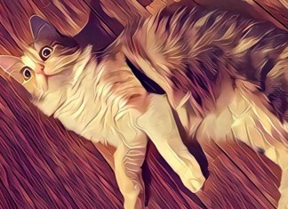 Prisma