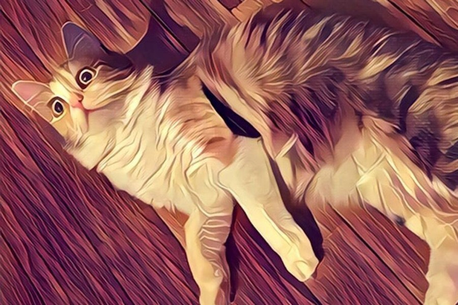 Prisma