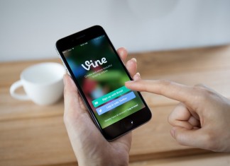 vine