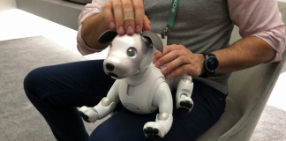 Sony Aibo 2018