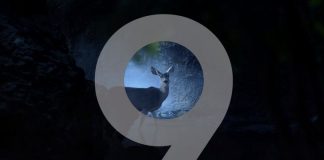 Samsung Galaxy S9 teaser