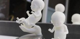 Une sculpture d'un fœtus ? C'est possible grâce à une imprimante 3D !