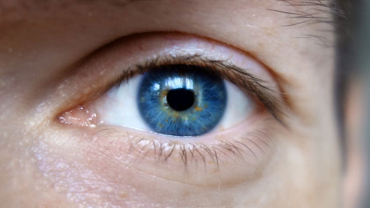 EyeTell, un système qui devine votre code PIN en regardant vos yeux EyeTell : ne regardez pas ces hackers sinon ils auront votre code PIN !