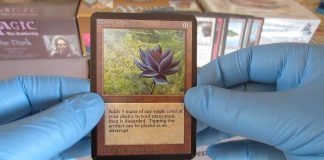 Le Lotus Noir de Magic