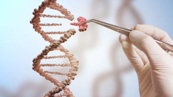 ADN Des chercheurs chinois annoncent la naissance de deux bébés génétiquement modifiés