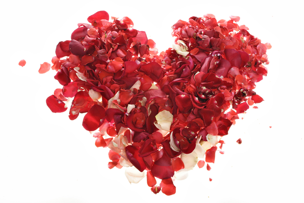 Cadeaux de dernière minute pour la Saint-Valentin Cadeaux de dernière minute pour la Saint-Valentin, c'est par ici.