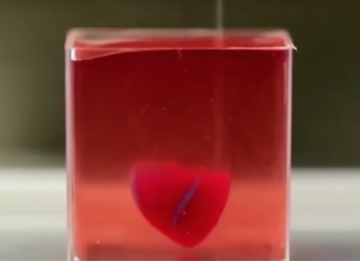 Coeur impression 3D