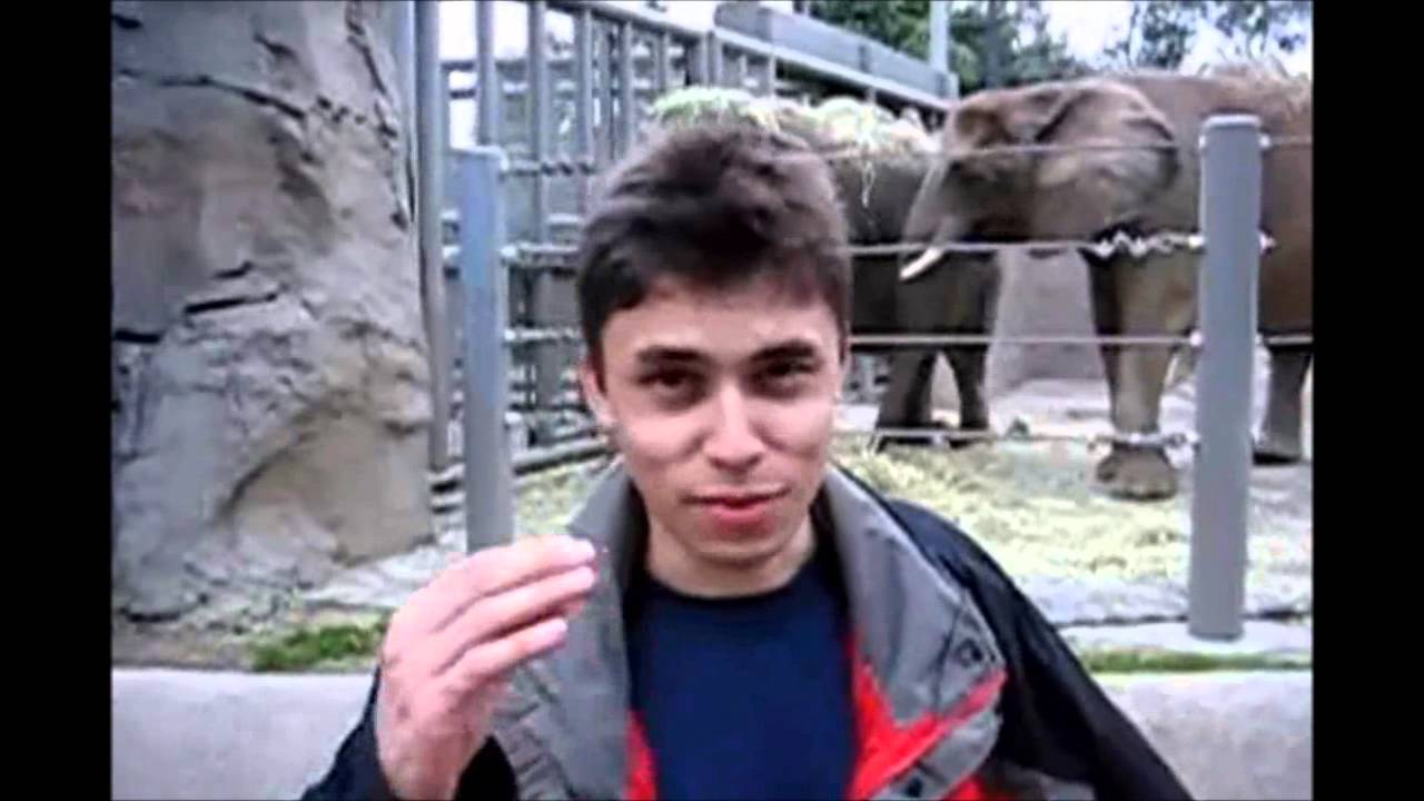 « Me at the zoo » : la première vidéo publiée sur YouTube il y a 14 ans
